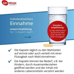 Jod Calcium Kapseln Dr. Wolz, 60 St