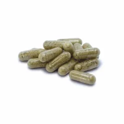 Jod-Probio Dr. Jacob`s Kapseln, 90 St> Jod