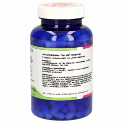 Johanniskraut Öl Kapseln, 360 St> Hirnleistung & Nerven