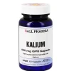Hecht Pharma Kalium 400 mg GPH Kapseln, 60 St> Kalium