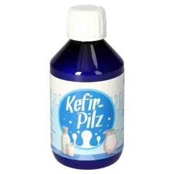 Hecht Pharma Kefir Pilz zur Bereitung aus Milch, 1 St> Vitalpilze