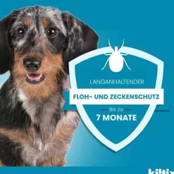Kiltix für große Hunde Halsband, 1 St