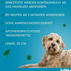 Kiltix für kleine Hunde Halsband, 1 St