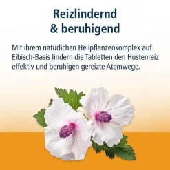Klosterfrau Reizhusten Lutschtabletten, 24 St><noscript><img width=