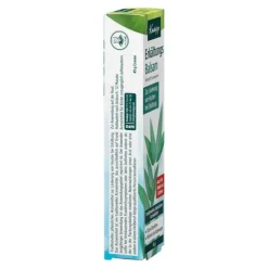 Kneipp Erkältungs Balsam, 45 g><noscript><img width=