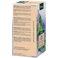 Kneipp Kräutertee Gute Nacht Tee Filterbeutel, 20 St
