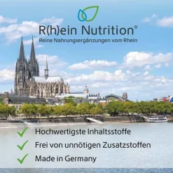 R(h)ein Nutrition Kurkuma 95% Curcumin + Piperin + Vitamin C vegan Kapseln , 120 St><noscript><img width=