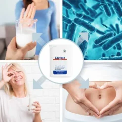 Avitale Lactase 7.000 FCC Tabletten im Spender, 80 St> Laktase