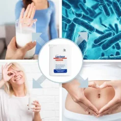 Lactase 14000 FCC Tabletten im Spender, 80 St