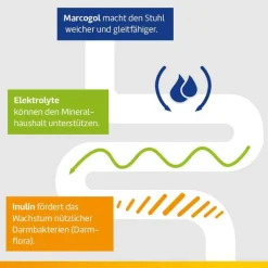 Laxatan M Granulat zur Herstellung einer Suspension zum Einnehmen , 48 St