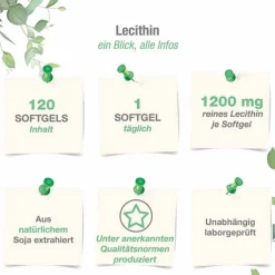 Lecithin 1200 mg Sojalecithin + Vitamin E vegan Weichk., 120 St