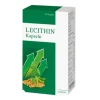 Alsitan Lecithin Kapseln , 60 St> Lecithin|Lecithin