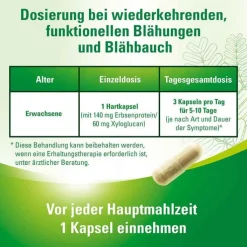 Lefaxan protect Hartkapseln, 15 St