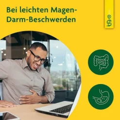 Schoenenberger Löwenzahn Saft HPS, 200 ml><noscript><img width=