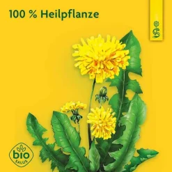 Löwenzahn Saft Schoenenberger HPS, 3X200 ml