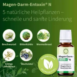Entoxin Magen Darm N Tropfen, 20 ml> Spenglersan