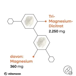 Magnesiumcitrat 360 mg vegan Kapseln, 180 St