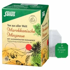 Salus Marokkanische Minzoase Bio Filterbeutel, 15 St> Bio Tee