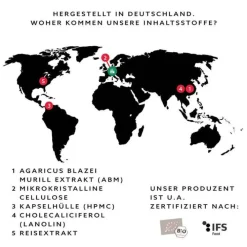 Molekuel Premium Vitamin D3-Formel, 120 St><noscript><img width=