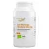 Vitaworld Moringa Oleifera 500 mg Kapseln, 120 St> Moringa|Moringa Oleifera