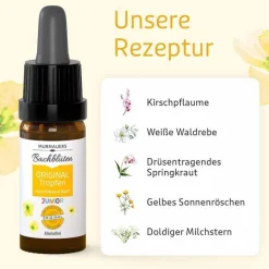 Murnauers Bachblüten Original Junior Tropfen, 10 ml