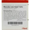 Musculus suis Injeel forte Ampullen, 10 St