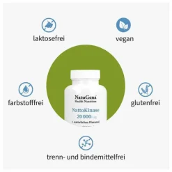 Nattokinase 20.000 + Vitamin C vegan Kapseln, 120 St