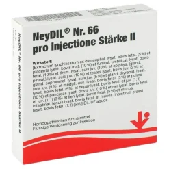 Neydil Nr.66 pro injectione St. II Ampullen, 5X2 ml