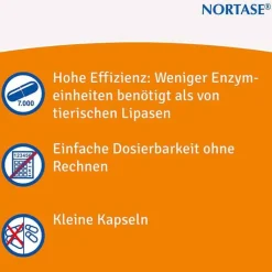 NORTASE Kapseln vegetarische Verdauungsenzyme, 100 St