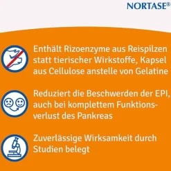 NORTASE Kapseln vegetarische Verdauungsenzyme, 20 St