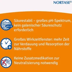 NORTASE Kapseln vegetarische Verdauungsenzyme, 20 St