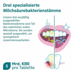 Nupure probadent forte 3 Bakterien Kulturen 5 Mrd. KBE Lutschtabletten, 90 St