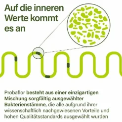 Nupure probaflor Mikrobiotika magensaftresistent Kapseln, 60 St><noscript><img width=