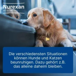 Nurexan ad us. vet. Tabletten , 100 St> Biologische Heilmittel Heel Gmbh