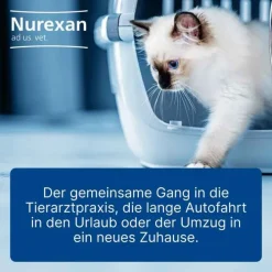 Nurexan ad us. vet. Tabletten , 100 St><noscript><img width=