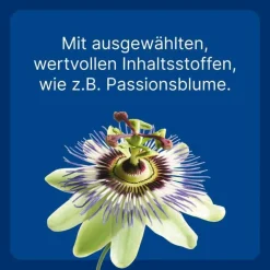 Nurexan ad us. vet. Tabletten , 100 St><noscript><img width=