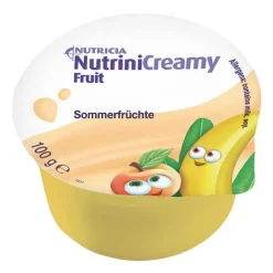 Nutrini Creamy Fruit Sommerfrüchte, 48X100 g