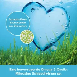 OMEGA3-Loges pflanzlich Kapseln, 120 St