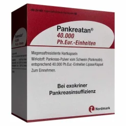 Pankreatan 40.000 Ph.Eur.-Einheiten magensaftresistent Hartkapseln , 200 St