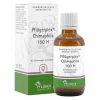 Pflüger plex Chimaphila 150 H Tropfen, 50 ml> A. Pflüger