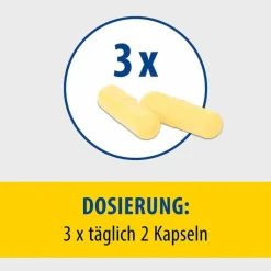 Pollstimol Hartkapseln, 60 St
