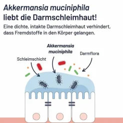 Probio-Cult AKK1 Akkermansia Syxyl Tabletten, 30 St