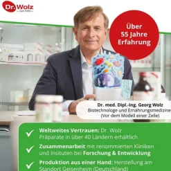 Dr. Wolz Prostata Pro Kapseln, 2X20 St><noscript><img width=