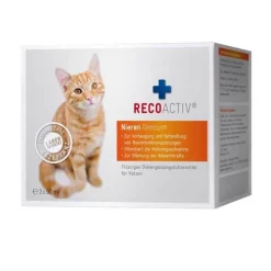 Recoaktiv Recoactiv Nieren Tonicum für Katzen Kurpackung, 3X90 ml> Für Die Nieren