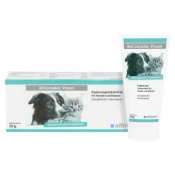 Reconvales Power Vitaminpaste für Hunde / Katzen, 1X70 g