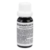 Regenaplex Nr.111 b Tropfen, 15 ml> Regenaplex