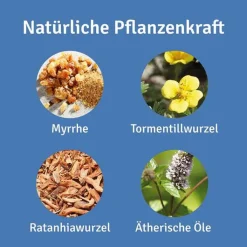 Repha OS Mund- und Rachenspray, 30 ml