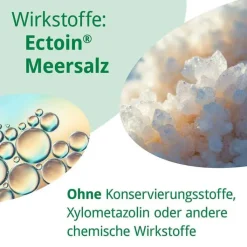 Rhinoguttae Neo Nasenspray, 20 ml