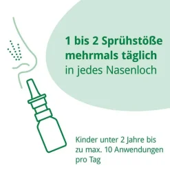 Rhinoguttae Neo Nasenspray, 20 ml