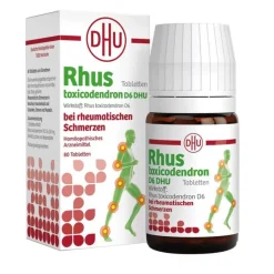 Rhus toxicodendron D6 DHU bei rheumatischen Schmerzen Tabletten , 80 St